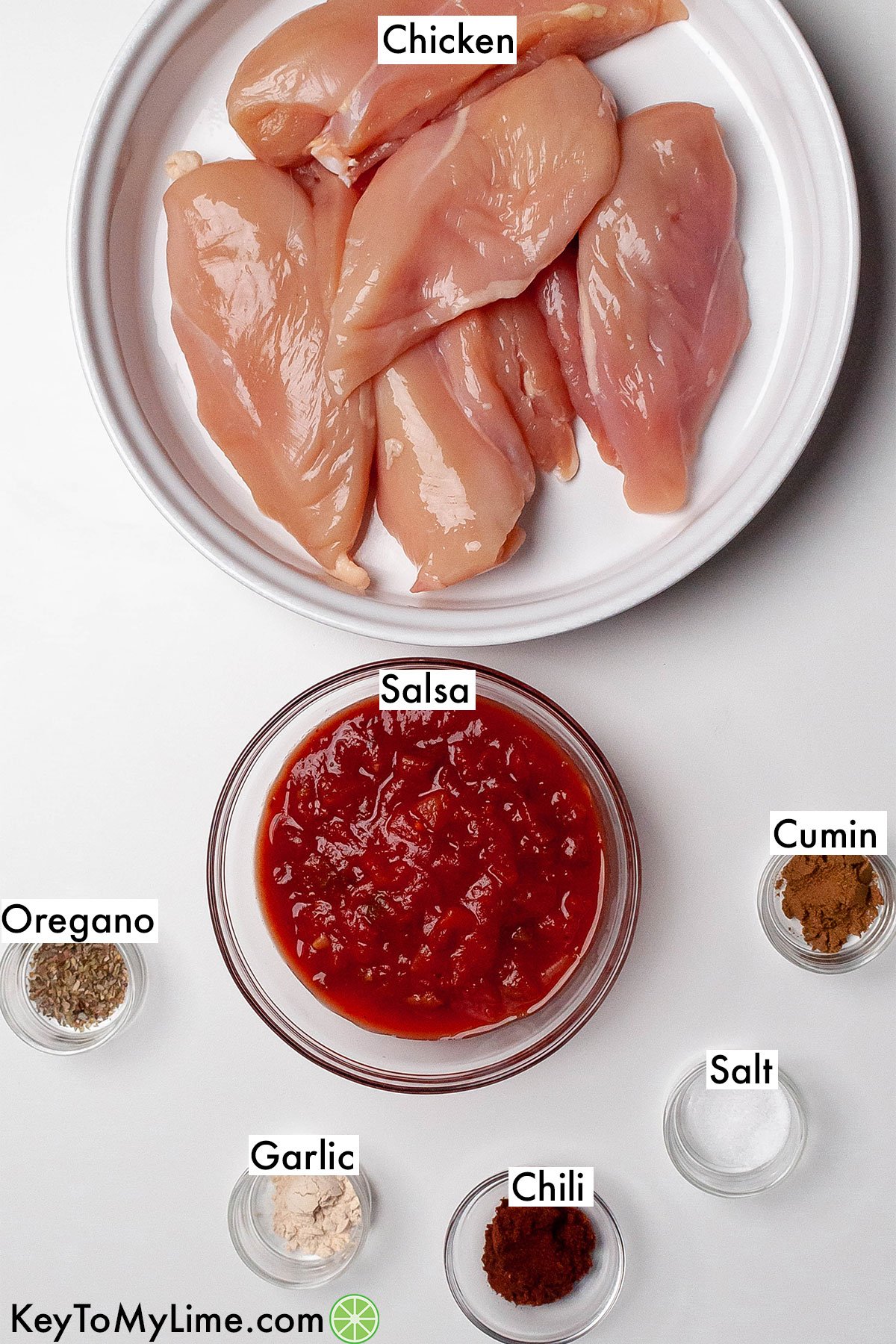 The labeled ingredients for Crockpot salsa chicken.