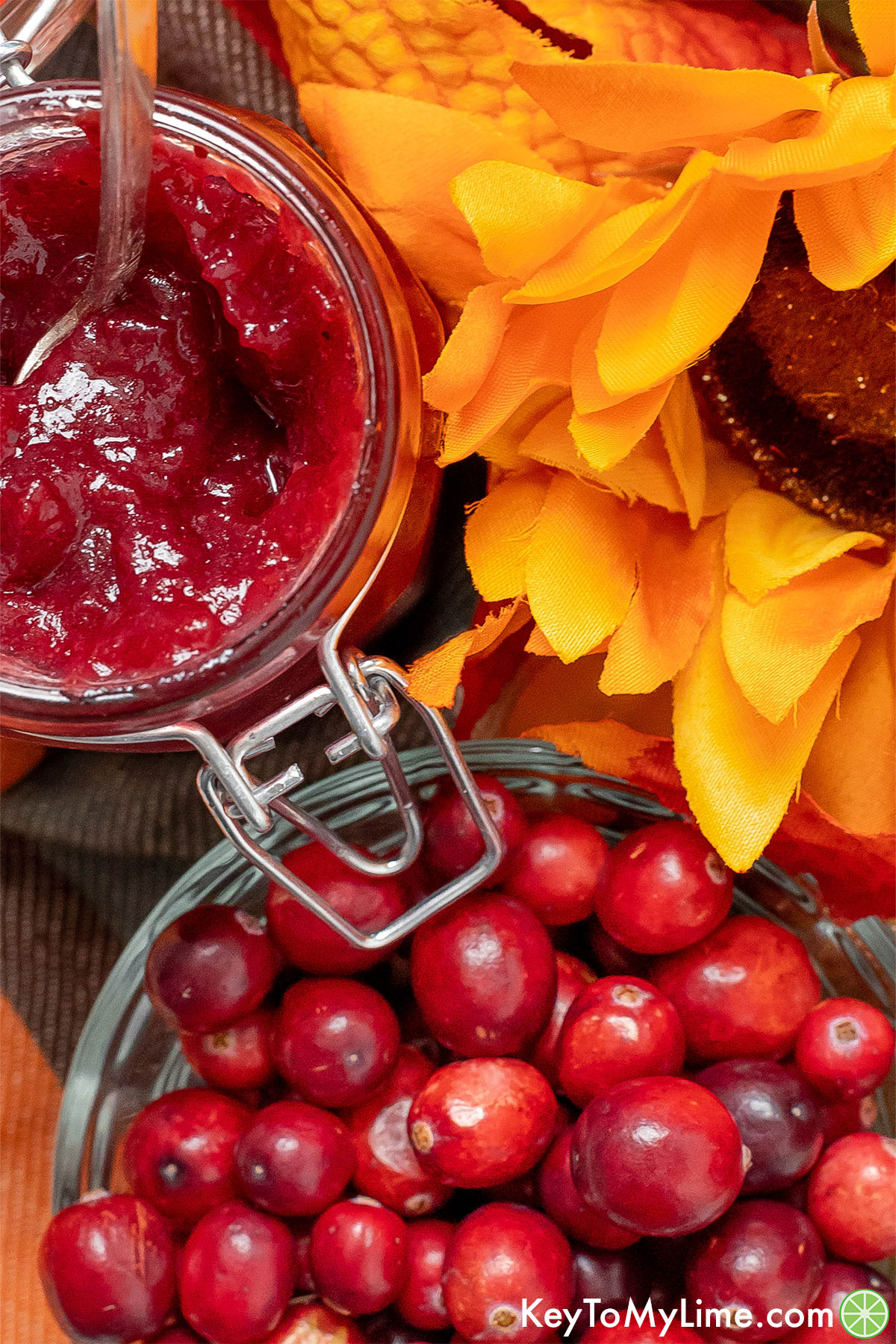 An overhead image of a jar with a serving spoon next to a bowl of cranberries.