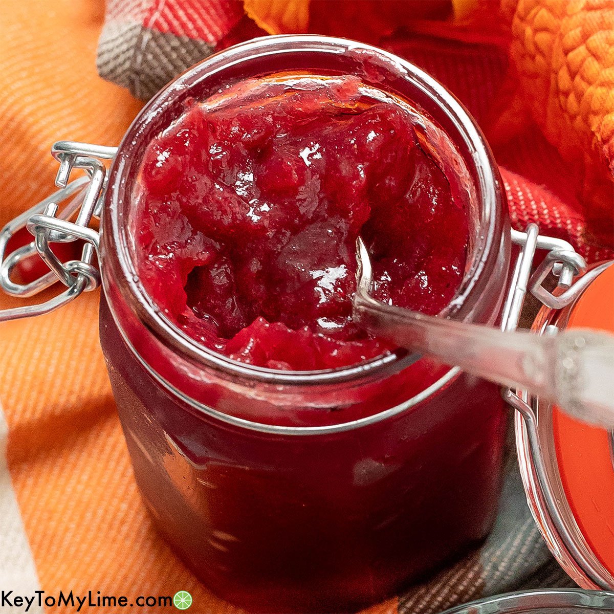 The best cranberry jam recipe.