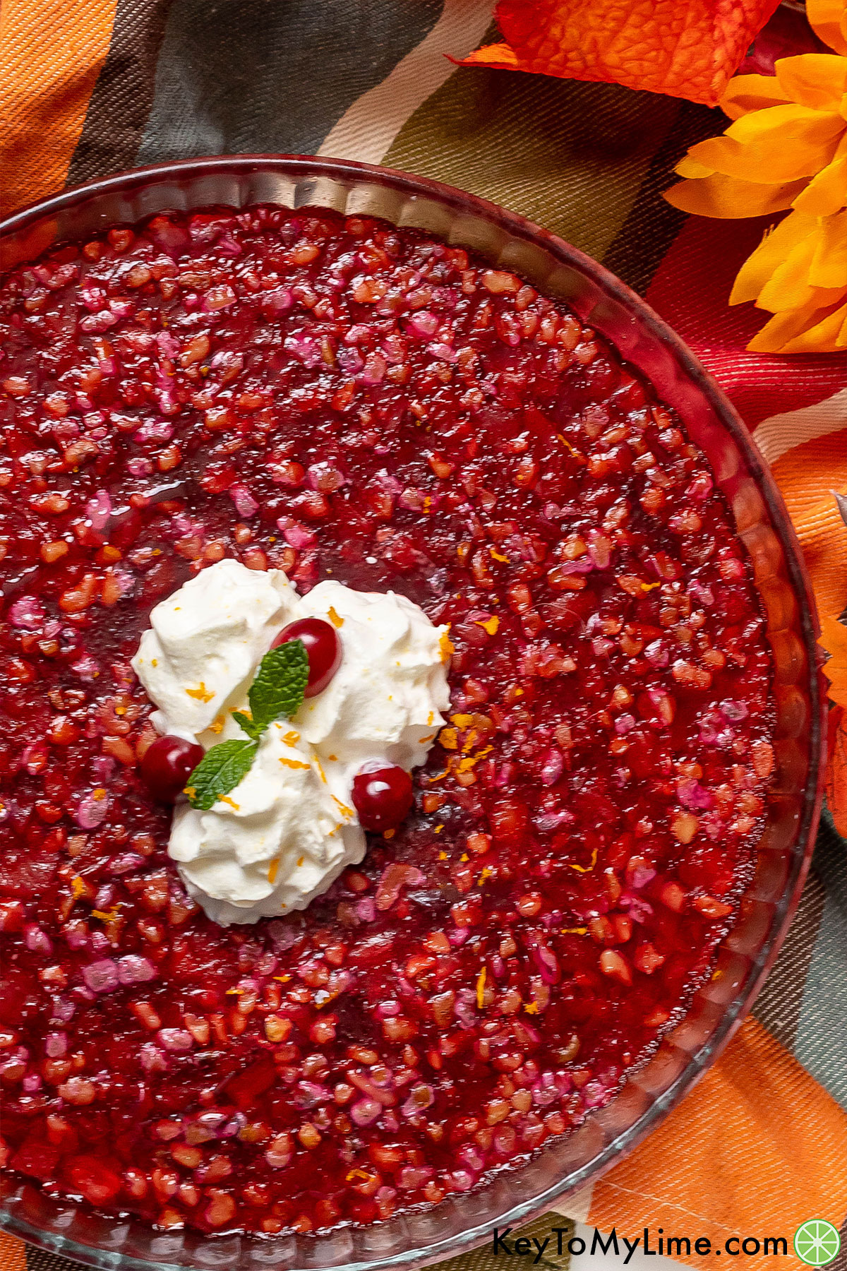 A garnished jello salad with whipped cream, whole cranberries, and orange zest on top.