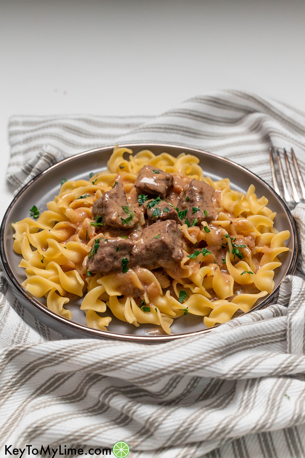 A side image showing the texture of the beef tips over a bed of egg noodles.