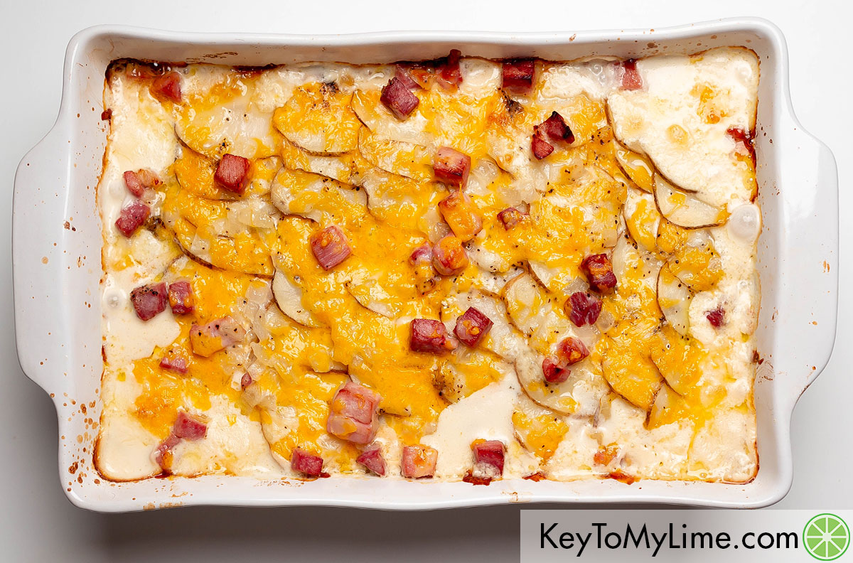 A freshly baked scalloped potatoes casserole in a casserole dish.