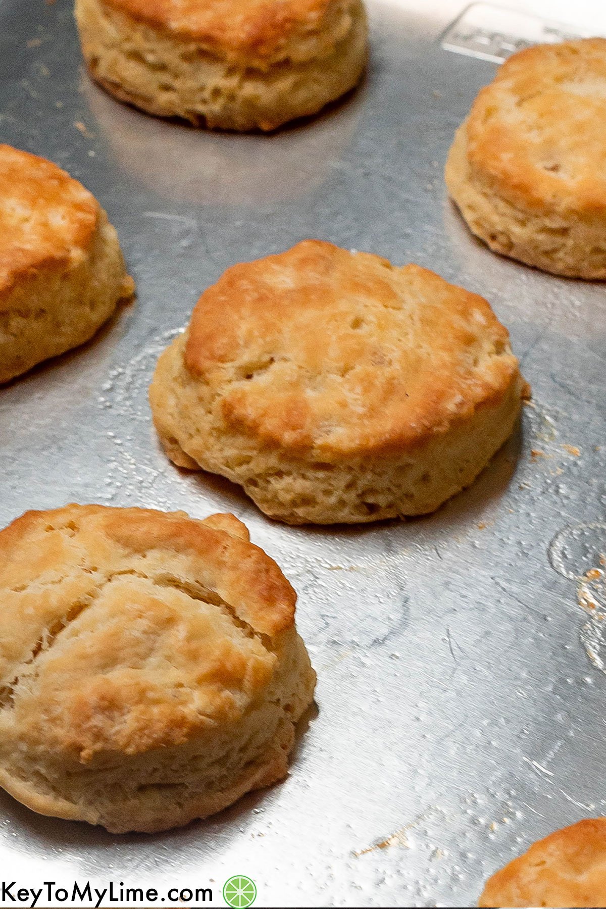 A few biscuits laid out on a baking sheet.