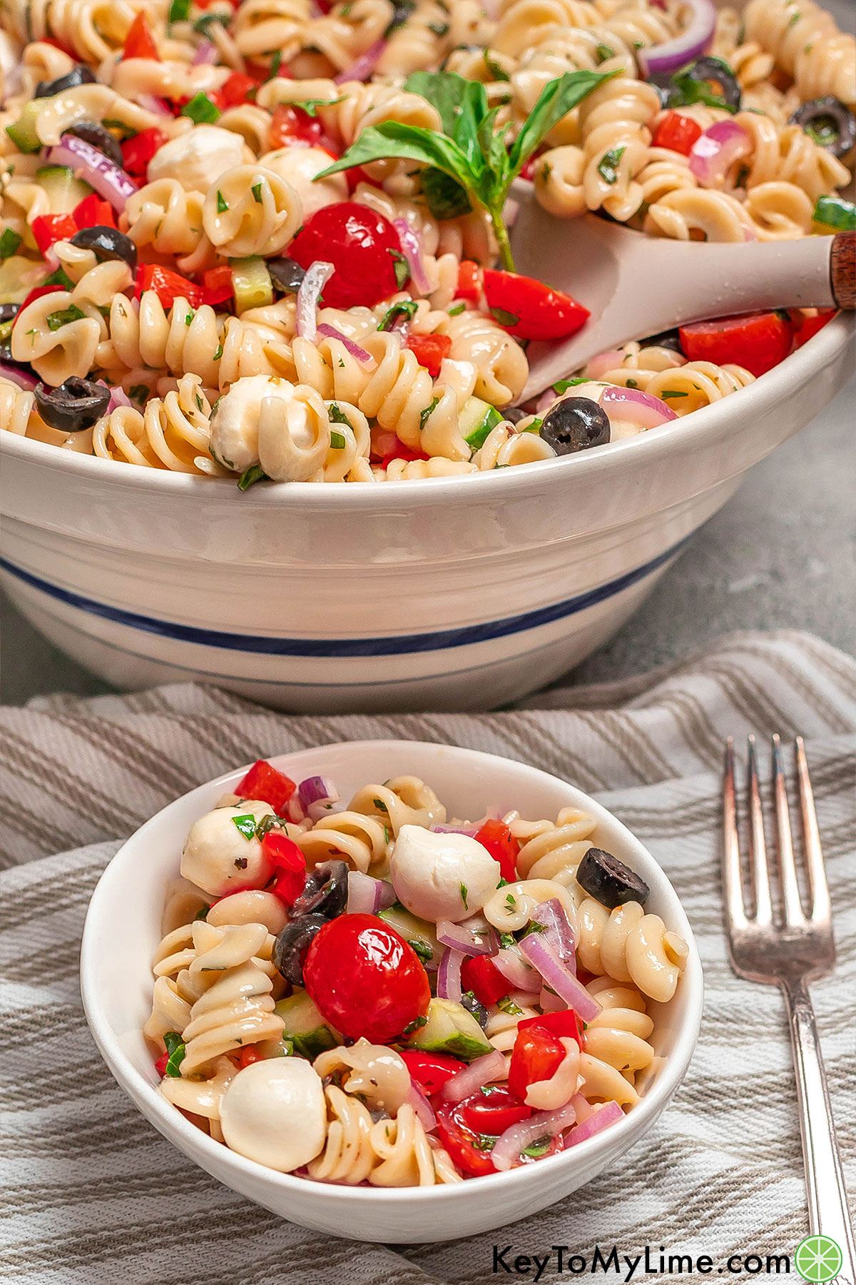 A side image of a large serving dish filled with delicious pasta salad garnished with fresh basil.