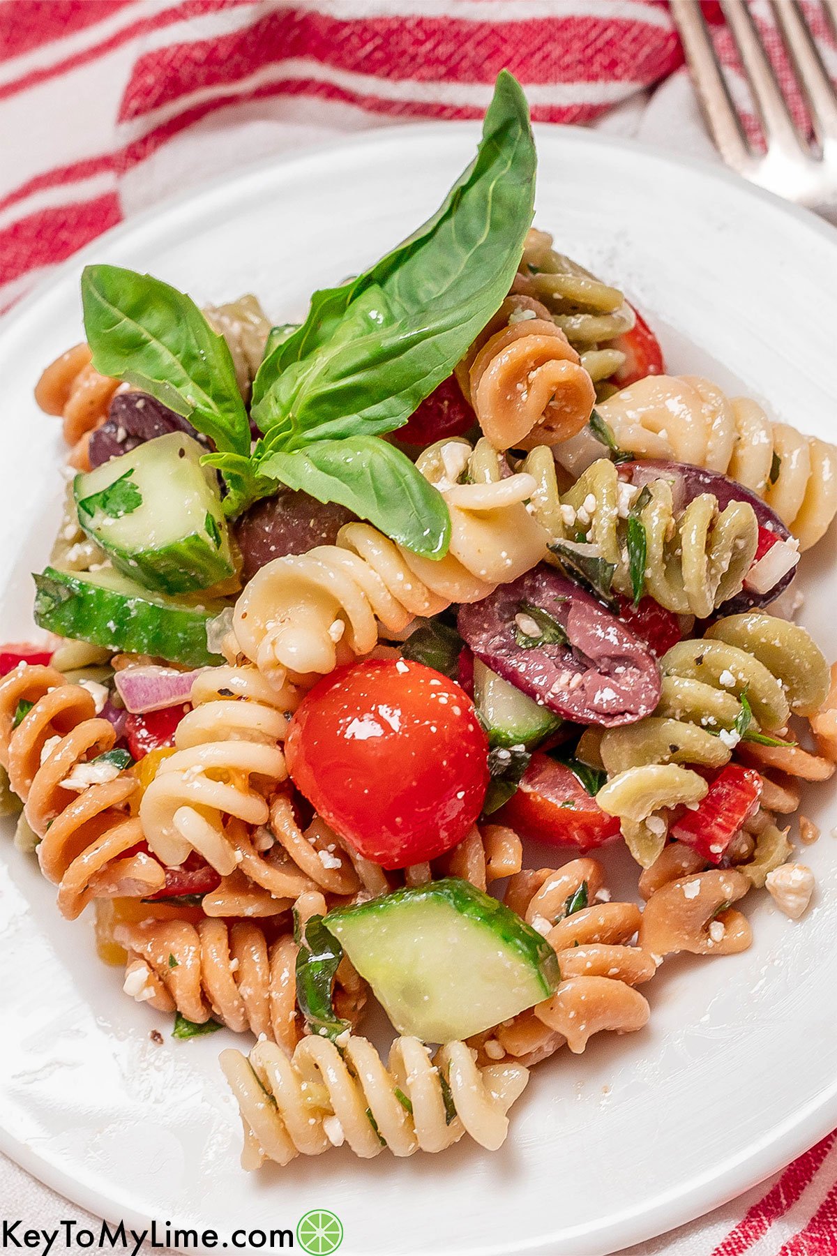 A close up image of a serving of pasta salad on a small plate garnished with fresh basil.