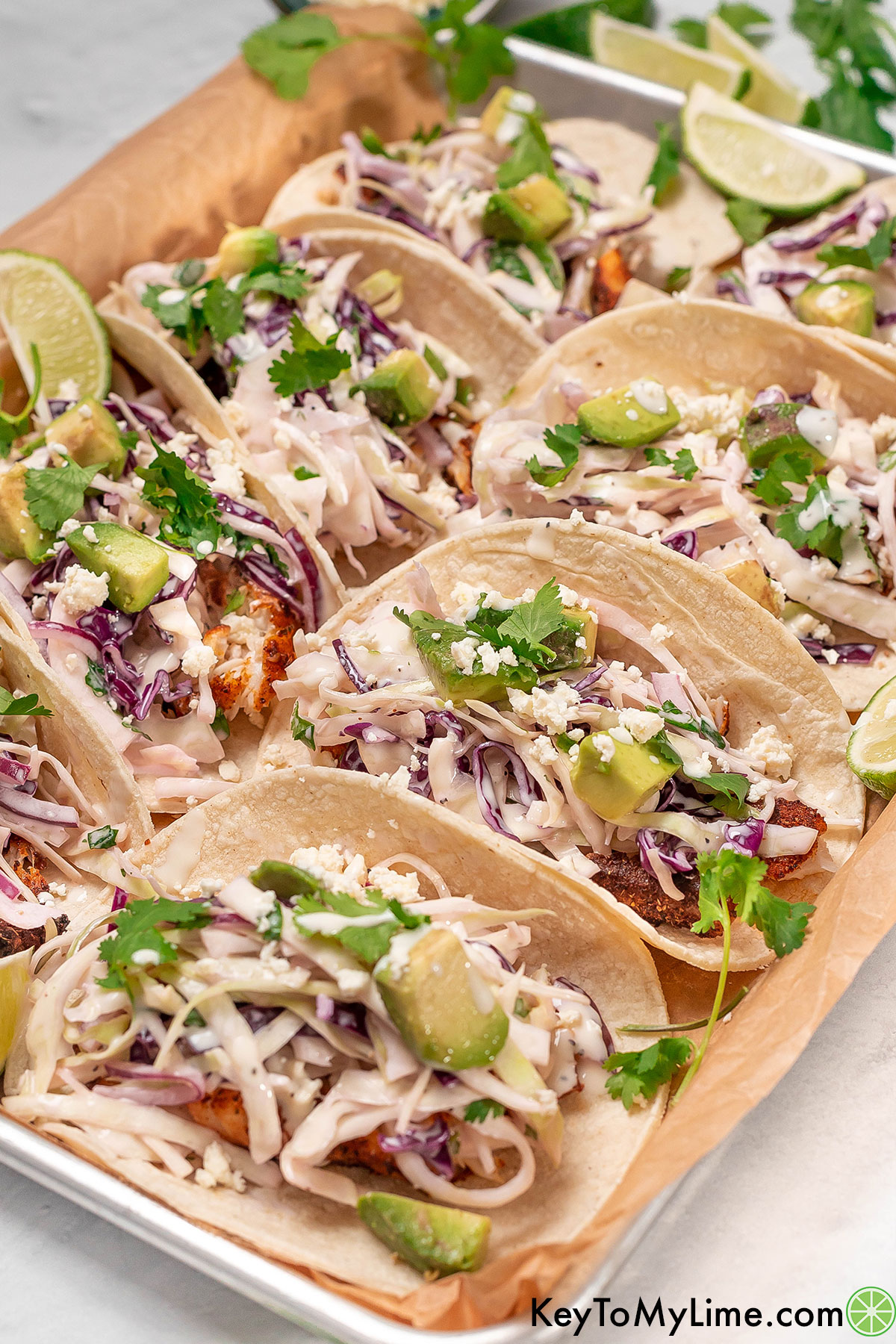 An angled image of several rows of garnished fish tacos with avocado and cilantro.