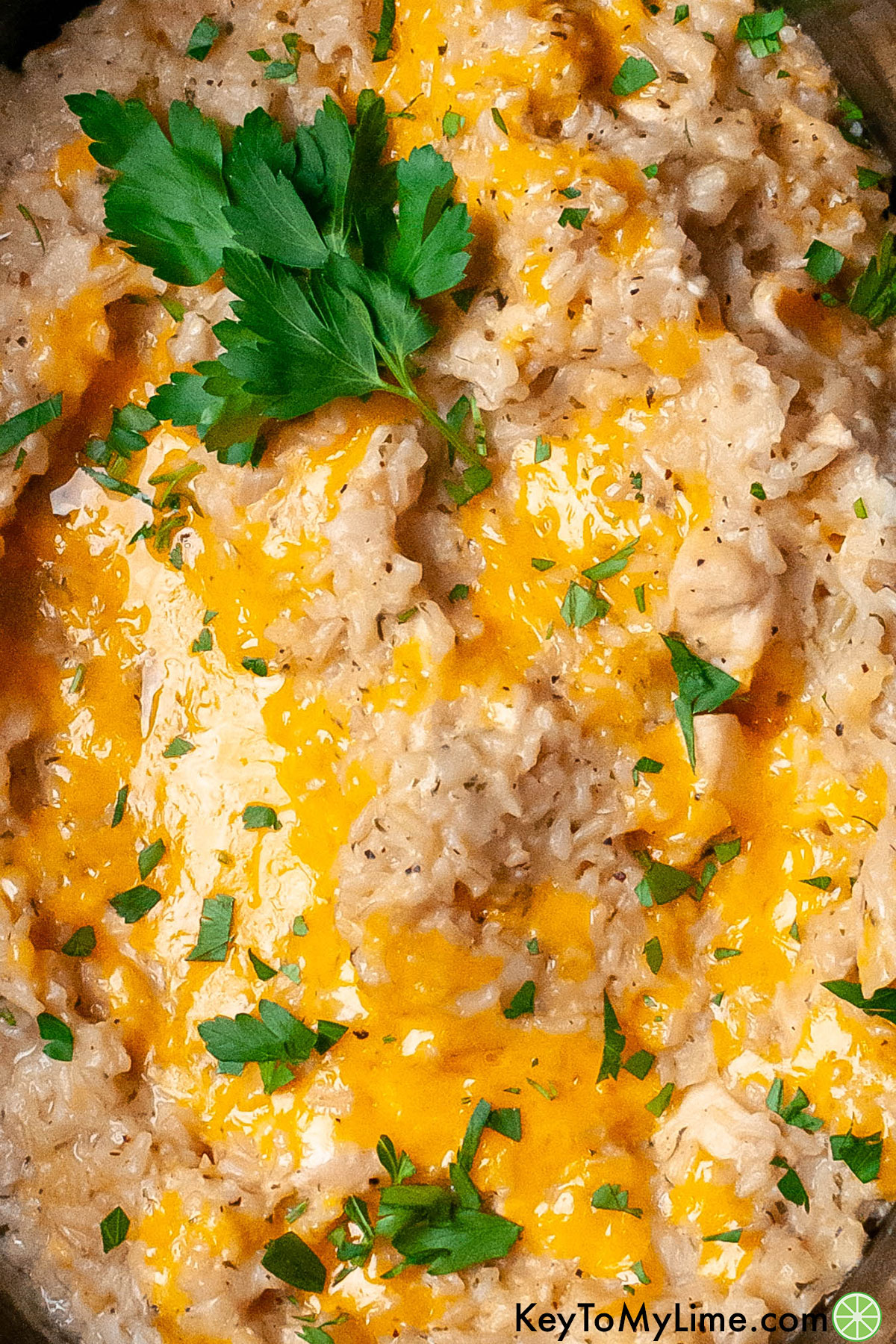 A fully cooked chicken and rice dish with fresh parsley throughout.