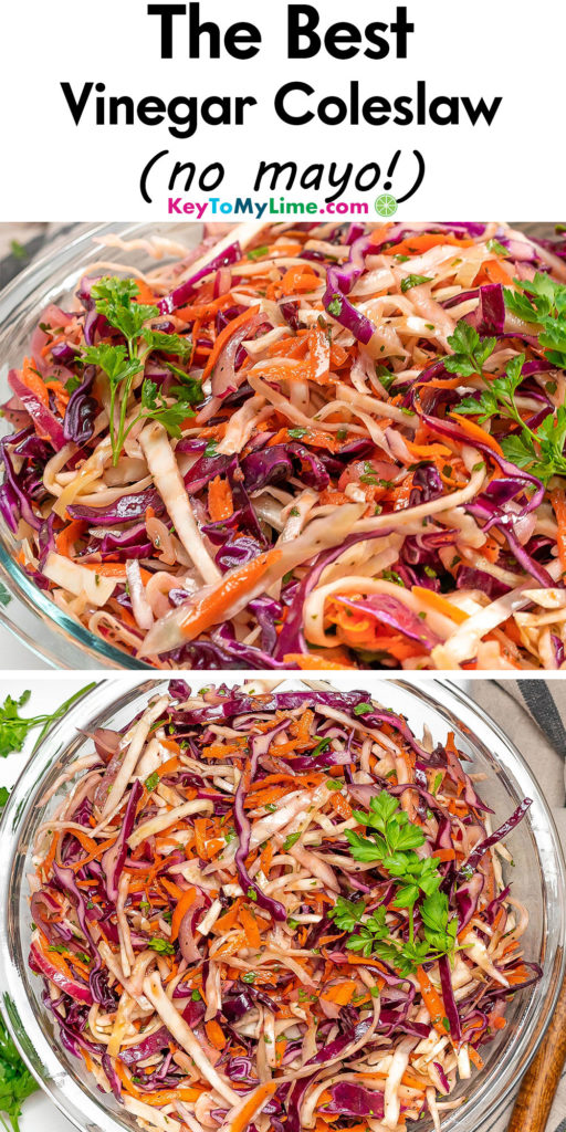 A Pinterest pin image with a picture of vinegar coleslaw, with title text at the top.