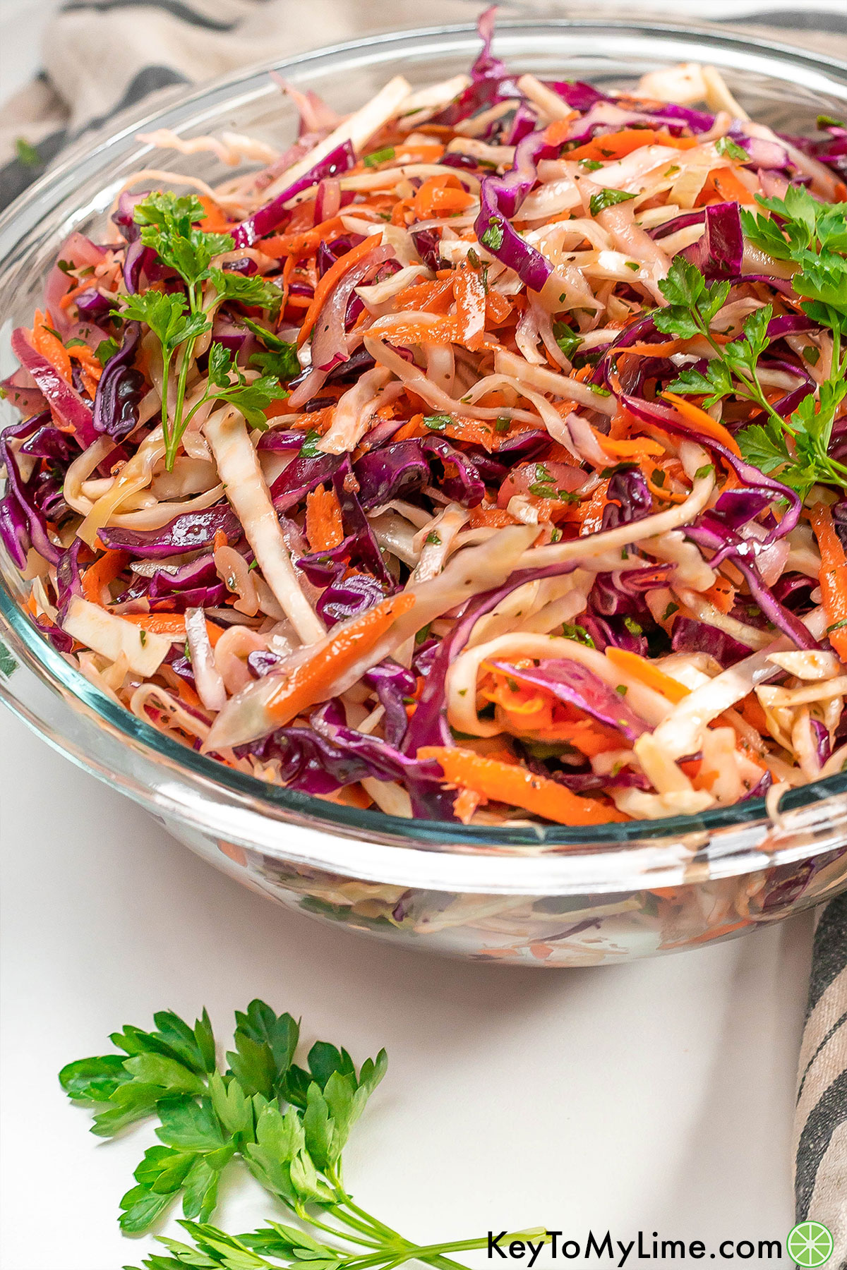 A large class bowl filled with freshly made coleslaw with a parsley leaf to the side.