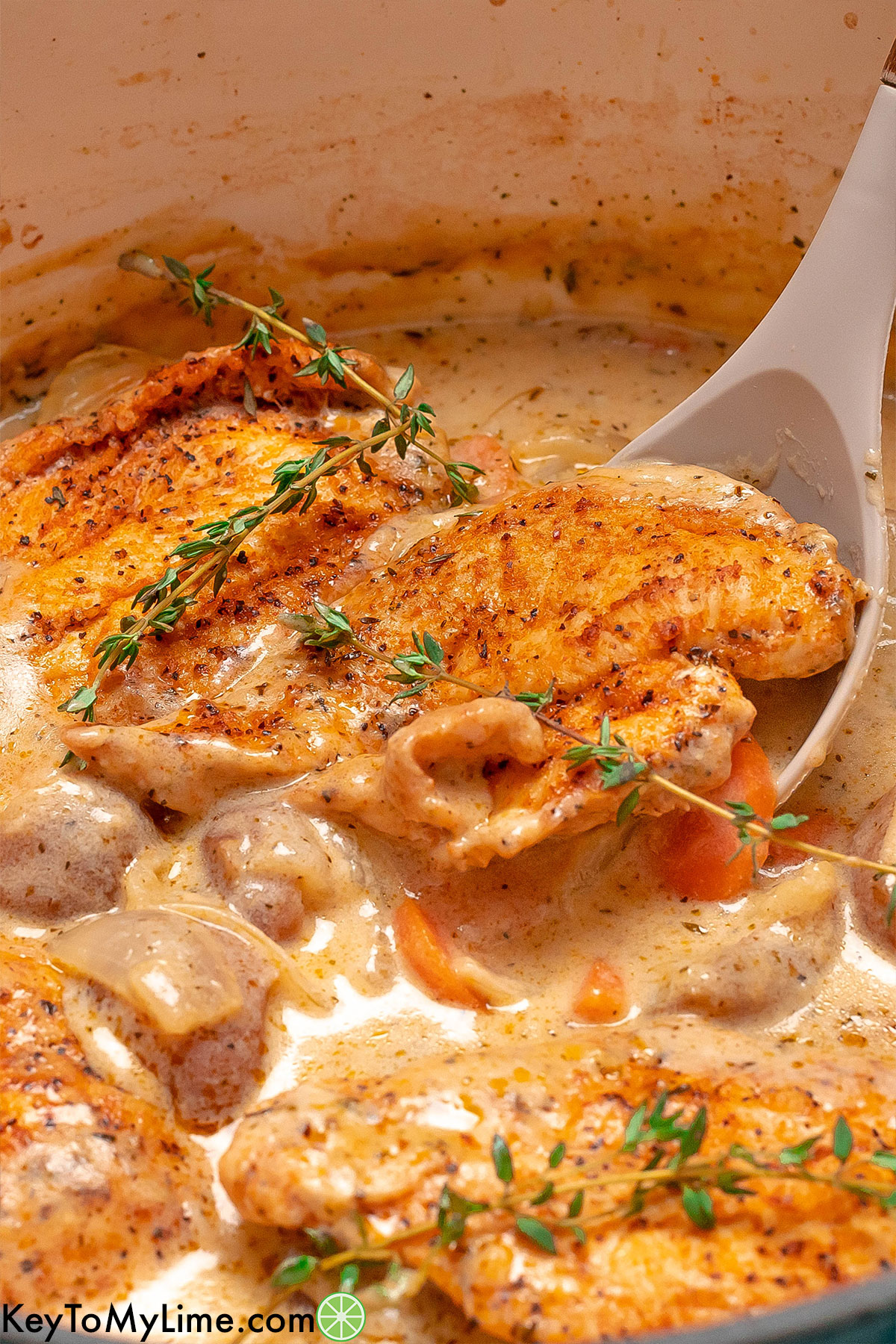 A spoonful of creamy chicken with potatoes with fresh thyme throughout.