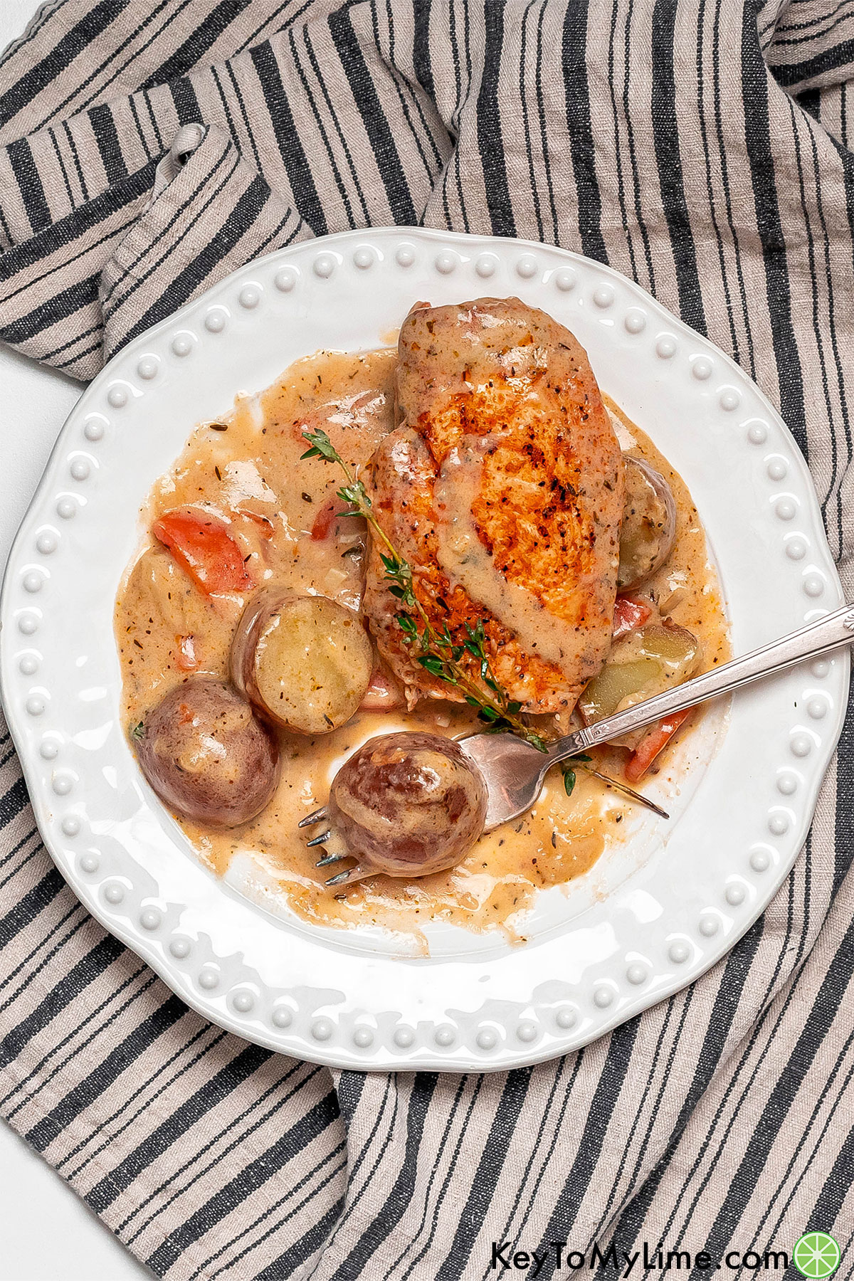 An overhead image of a chicken covered in creamy flavorful sauce with potatoes, carrots, and onions.