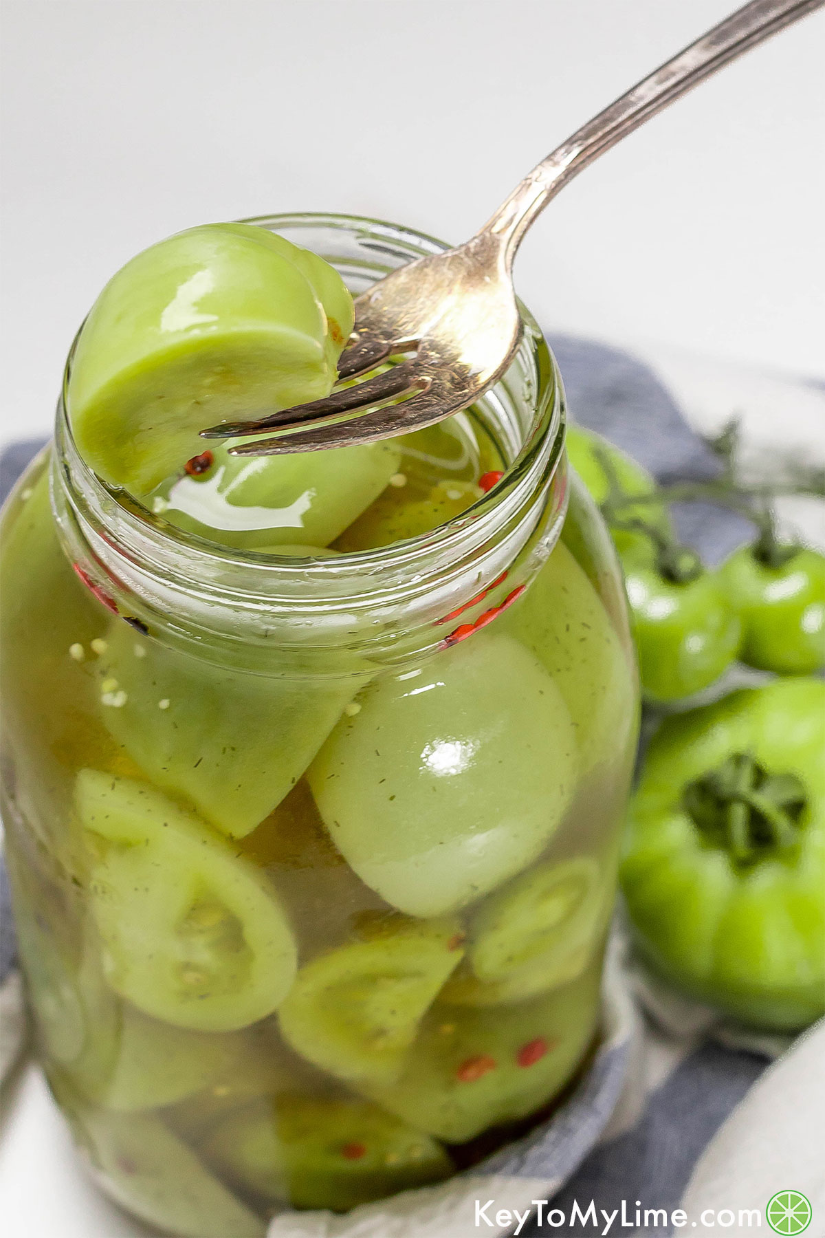 A fork holding a pickled green tomato fresh out of a jar.
