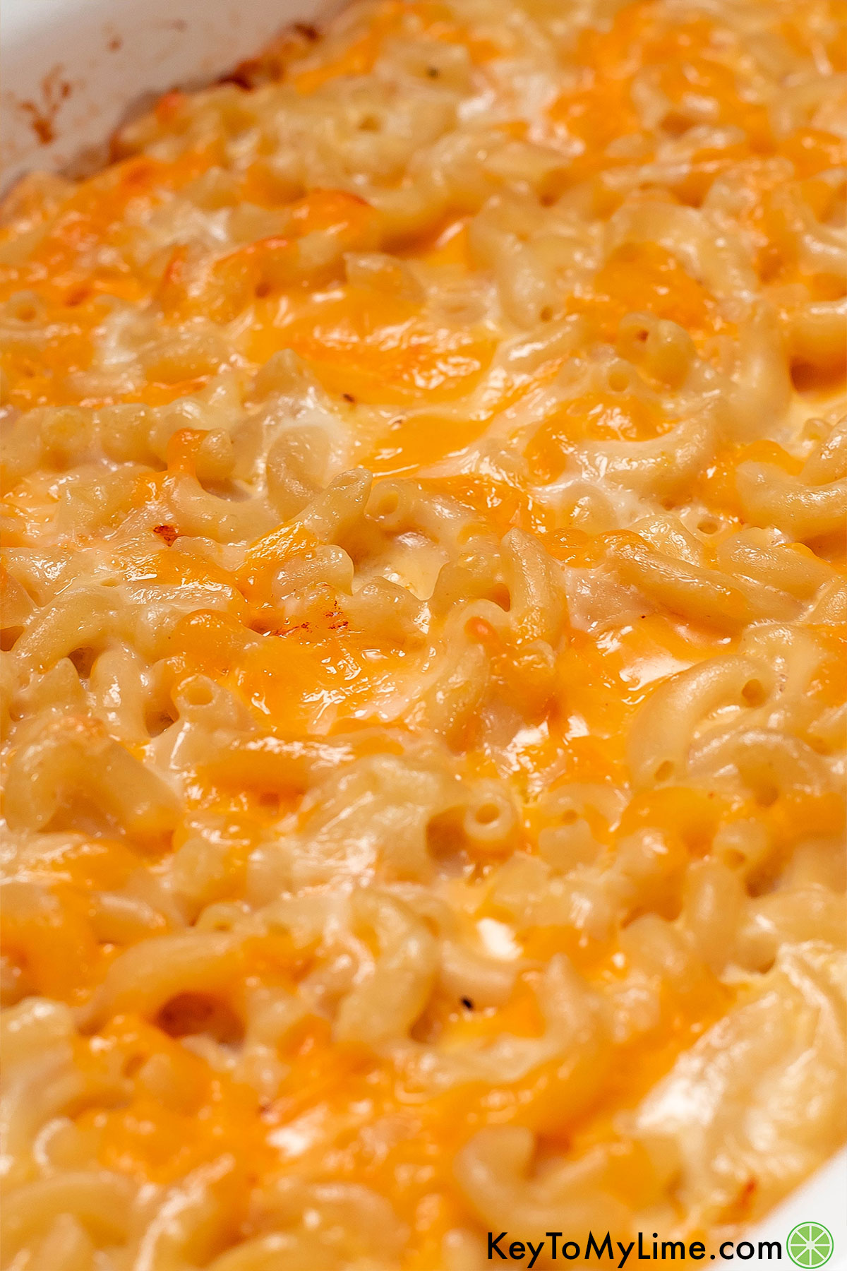 A close up of the cheesy layer on the mac and cheese dish.