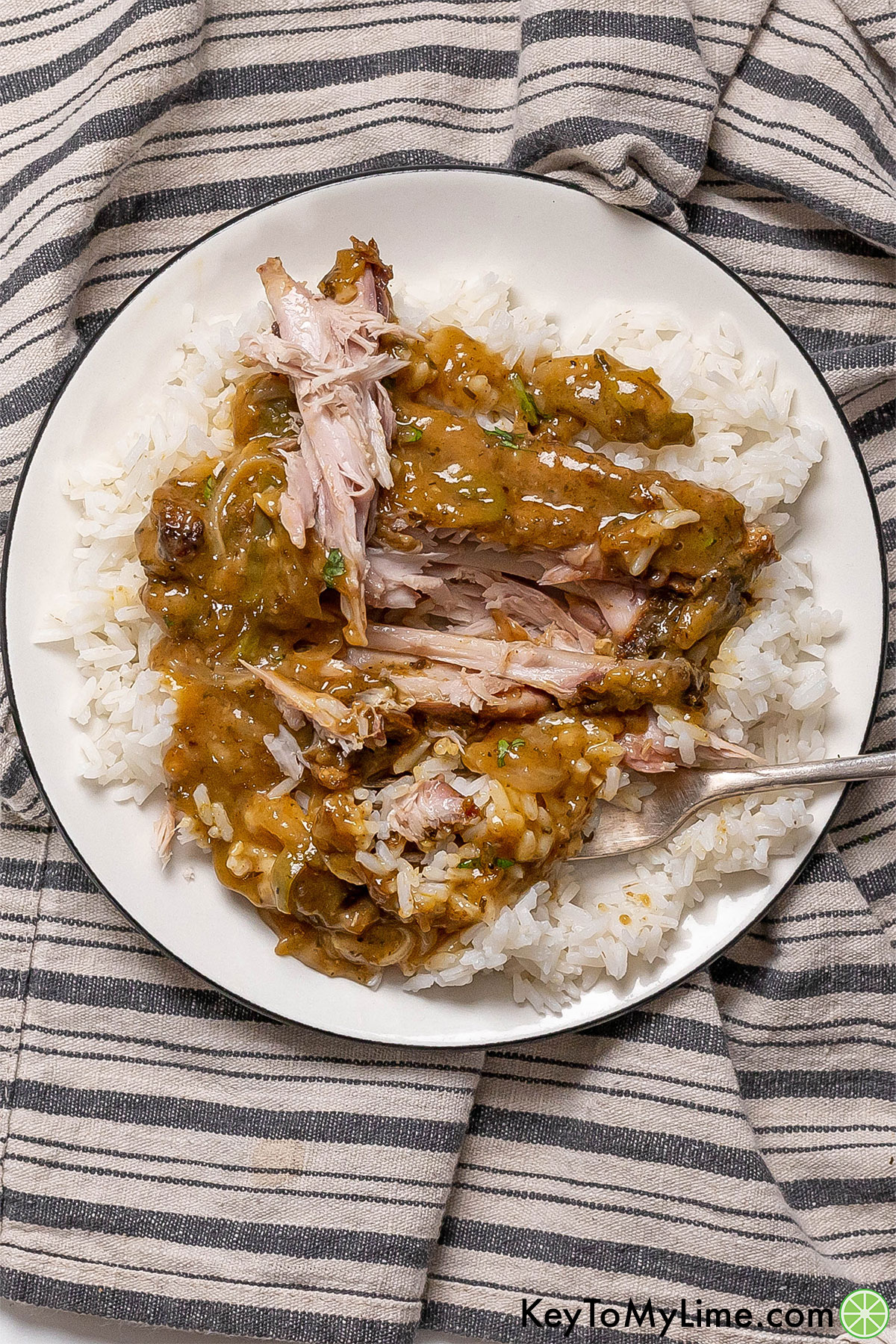 An overhead image of a white dinner plate show a cut up turkey wing and gravy over rice.