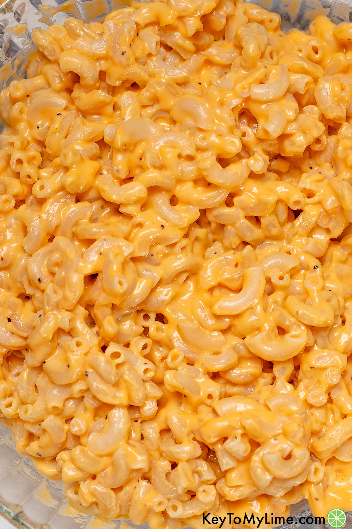 A close up image of macaroni covered in cheese sauce.
