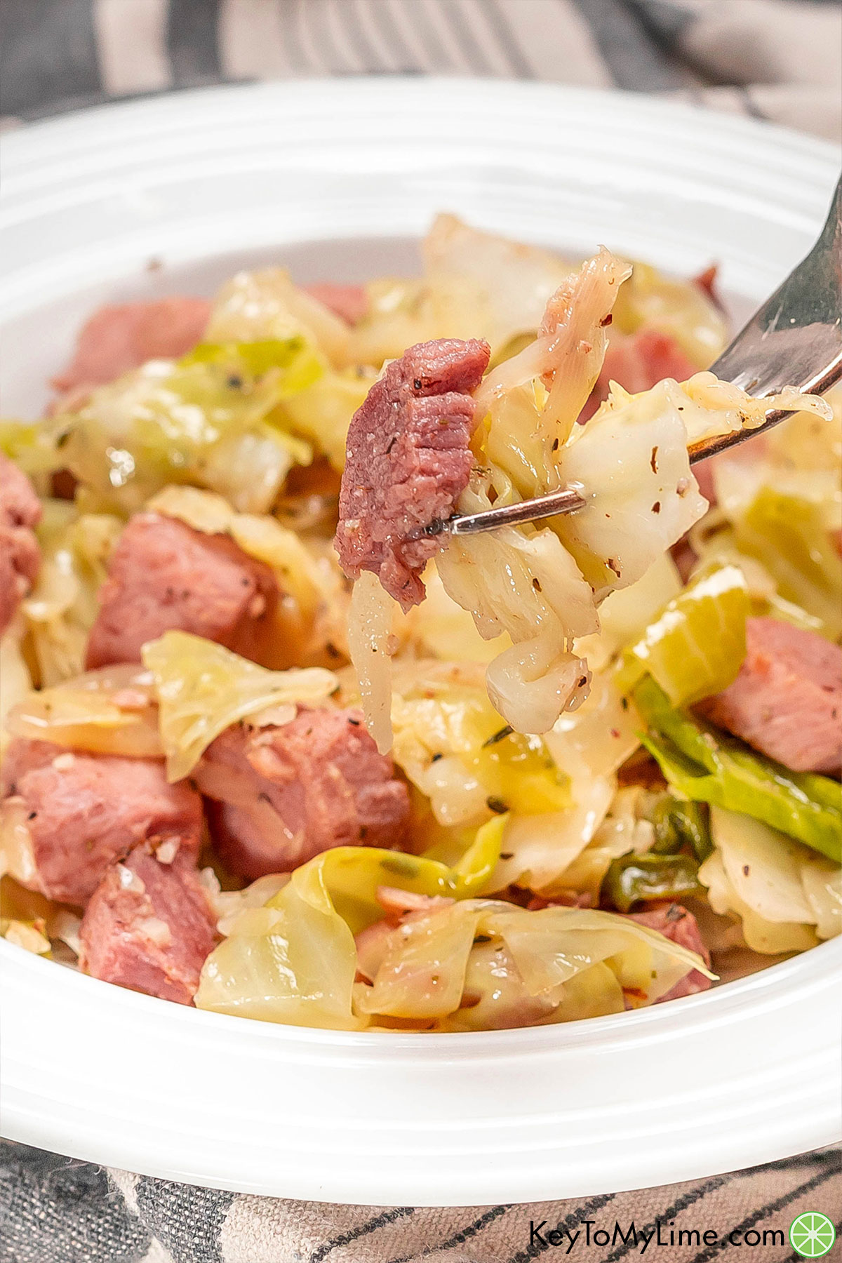 A close up a forkful of ham with cabbage showing the glistening texture.