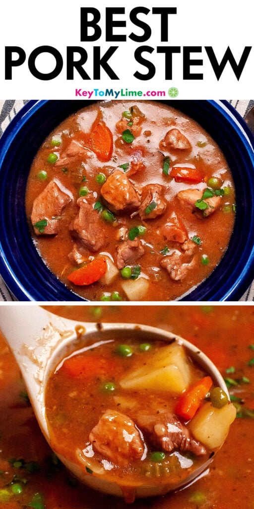 A Pinterest pin image with a picture of pork stew with title text at the top.