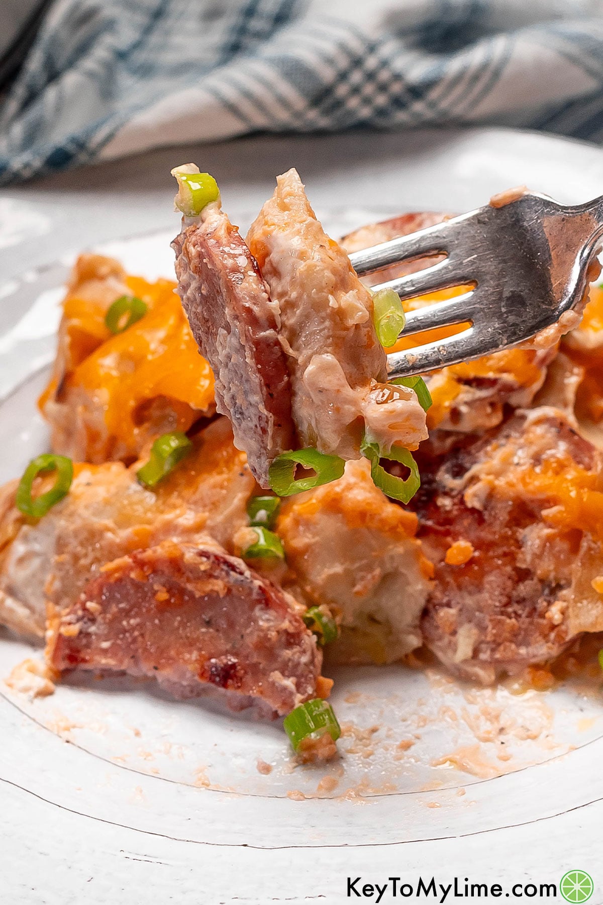 A close up image of a bite of a casserole showing the inside texture.