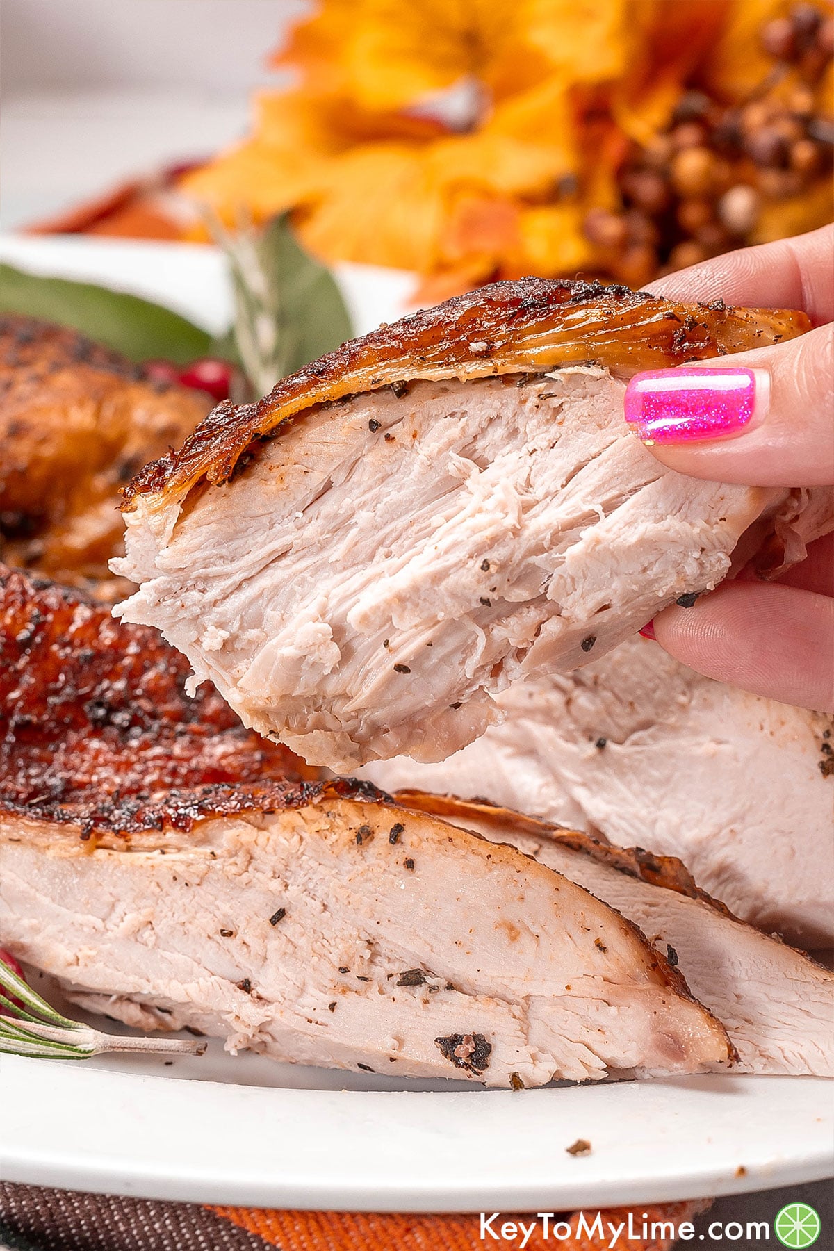 A close up image of a slice of turkey with crispy skin on top.