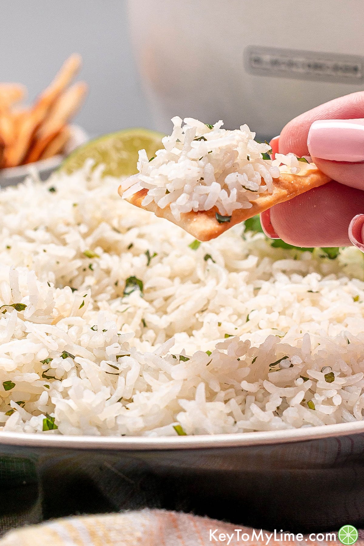 A side image of fluffy rice piled on a pita cracker.