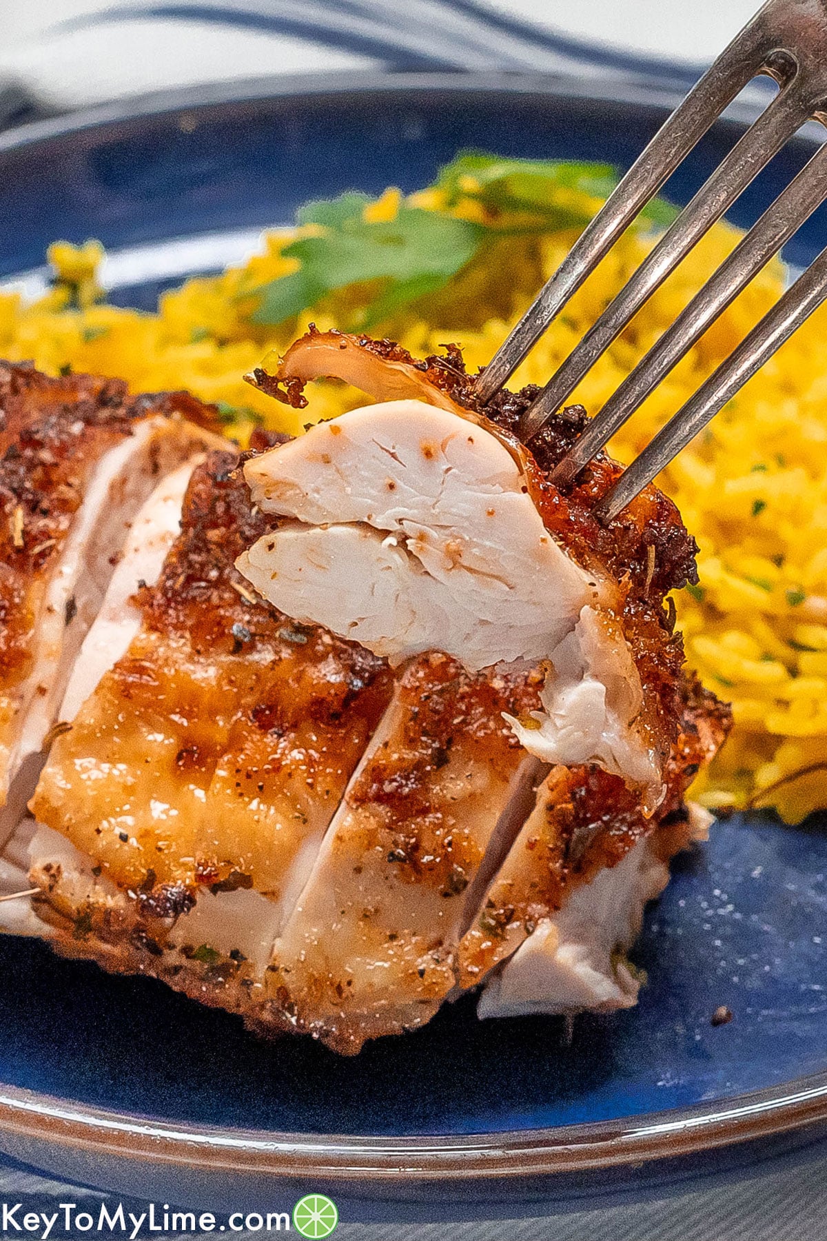 A close up image showing the texture of the juicy chicken breast.